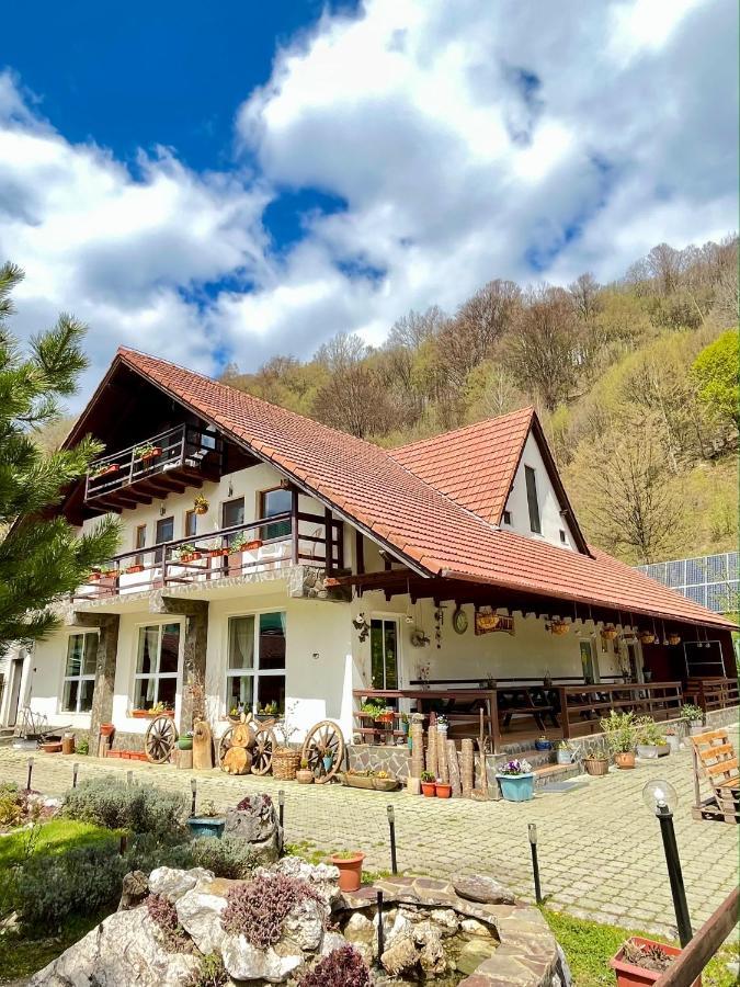 Pensiunea Piatra-Craiului เซอร์เนช ภายนอก รูปภาพ
